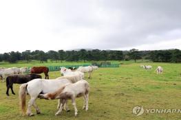 "황금연휴 즐기자" 연휴 넷째 날…관광명소·유원지 북적 기사 이미지