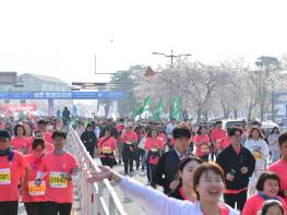 4월 6일 열리는 ‘경주벚꽃마라톤대회’조기마감...1만 2000명 참가 기사 이미지