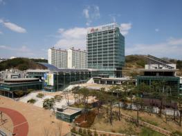  포항시, 자동차대여사업자 11개소 지도 점검 실사   이용자 안전 확보 총력 기사 이미지